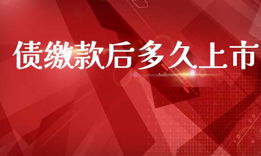 债缴款后多久上市_https://wap.lxcailiao.com_股权投资_第1张