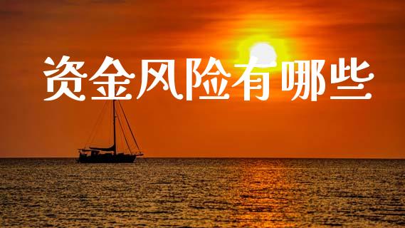 资金风险有哪些_https://wap.lxcailiao.com_融资担保_第1张