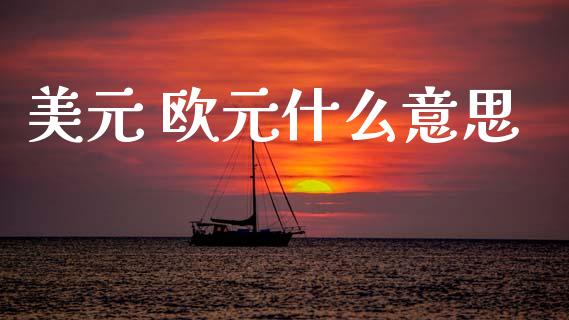 美元 欧元什么意思_https://wap.lxcailiao.com_金融监管_第1张