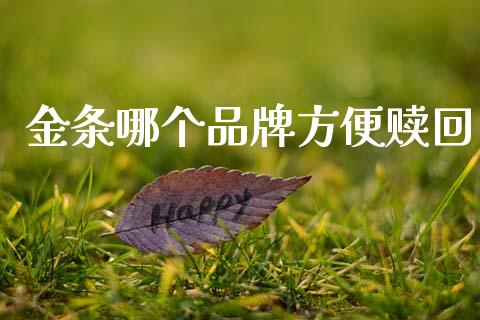 金条哪个品牌方便赎回_https://wap.lxcailiao.com_融资担保_第1张