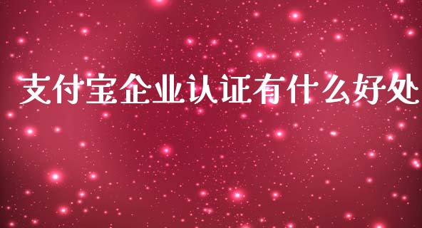 支付宝企业认证有什么好处_https://wap.lxcailiao.com_股权投资_第1张