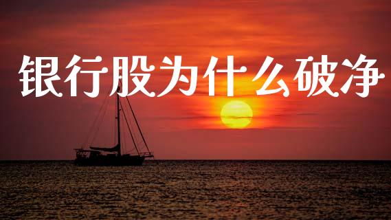 银行股为什么破净_https://wap.lxcailiao.com_融资担保_第1张