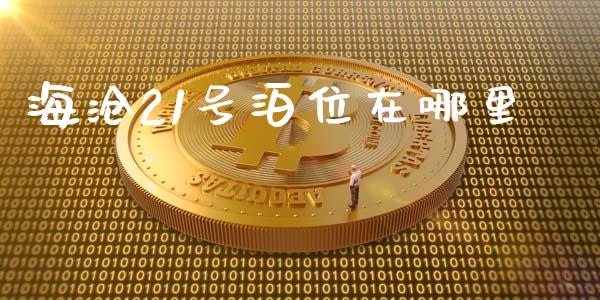海沧21号泊位在哪里_https://wap.lxcailiao.com_股权投资_第1张