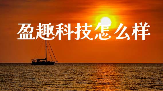 盈趣科技怎么样_https://wap.lxcailiao.com_财务管理_第1张