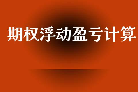 期权浮动盈亏计算_https://wap.lxcailiao.com_金融监管_第1张