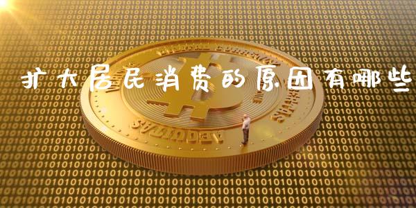 扩大居民消费的原因有哪些_https://wap.lxcailiao.com_融资担保_第1张