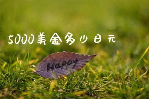5000美金多少日元_https://wap.lxcailiao.com_财务管理_第1张