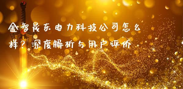 金智晟东电力科技公司怎么样？深度解析与用户评价_https://wap.lxcailiao.com_金融监管_第1张