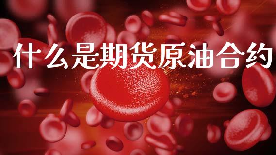 什么是期货原油合约_https://wap.lxcailiao.com_财务管理_第1张