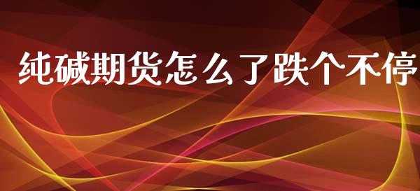 纯碱期货怎么了跌个不停_https://wap.lxcailiao.com_融资担保_第1张