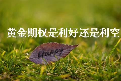 黄金期权是利好还是利空_https://wap.lxcailiao.com_股权投资_第1张