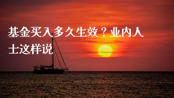 基金买入多久生效？业内人士这样说_https://wap.lxcailiao.com_金融监管_第1张