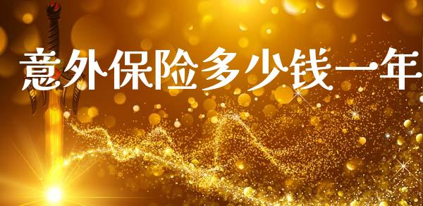 意外保险多少钱一年_https://wap.lxcailiao.com_金融监管_第1张