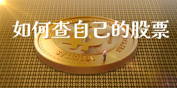 如何查自己的股票_https://wap.lxcailiao.com_财务管理_第1张