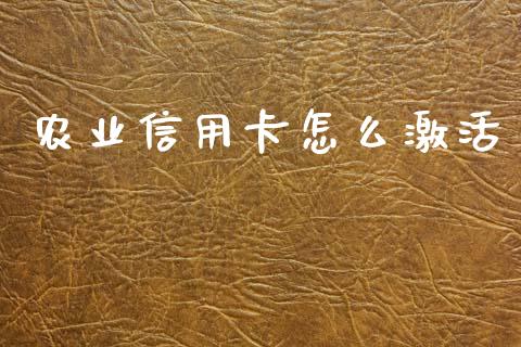 农业信用卡怎么激活_https://wap.lxcailiao.com_财务管理_第1张