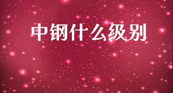 中钢什么级别_https://wap.lxcailiao.com_融资担保_第1张