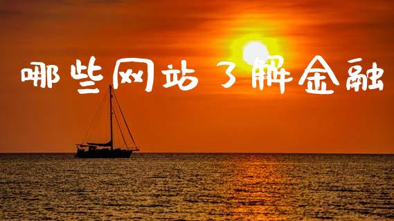 哪些网站了解金融_https://wap.lxcailiao.com_财务管理_第1张