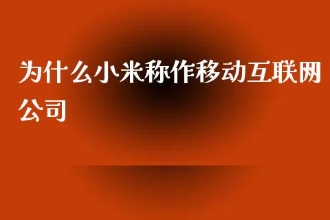 为什么小米称作移动互联网公司_https://wap.lxcailiao.com_股权投资_第1张