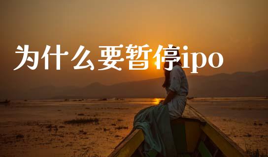 为什么要暂停ipo_https://wap.lxcailiao.com_融资担保_第1张