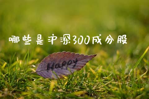 哪些是沪深300成分股_https://wap.lxcailiao.com_融资担保_第1张