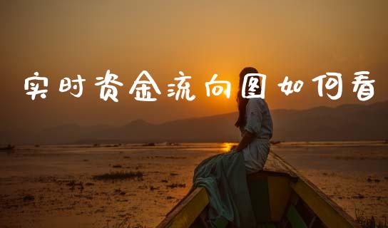 实时资金流向图如何看_https://wap.lxcailiao.com_财务管理_第1张