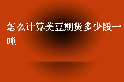 怎么计算美豆期货多少钱一吨_https://wap.lxcailiao.com_融资担保_第1张
