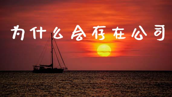 为什么会存在公司_https://wap.lxcailiao.com_股权投资_第1张