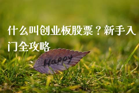 什么叫创业板股票？新手入门全攻略_https://wap.lxcailiao.com_股权投资_第1张
