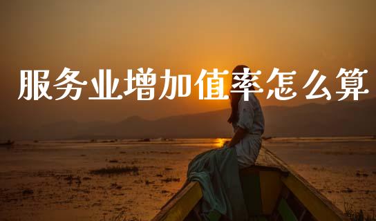 服务业增加值率怎么算_https://wap.lxcailiao.com_财务管理_第1张