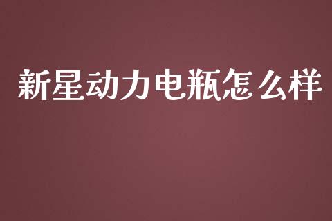 新星动力电瓶怎么样_https://wap.lxcailiao.com_股权投资_第1张