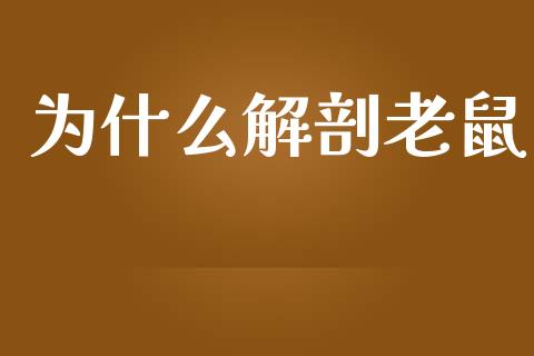 为什么解剖老鼠_https://wap.lxcailiao.com_股权投资_第1张