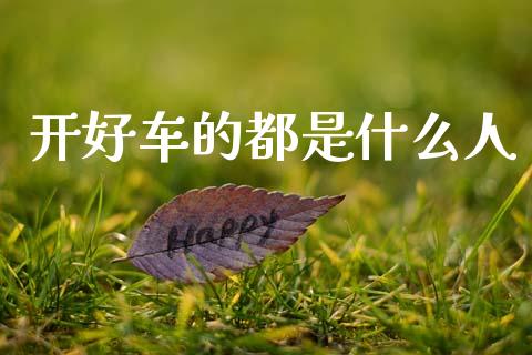 开好车的都是什么人_https://wap.lxcailiao.com_融资担保_第1张