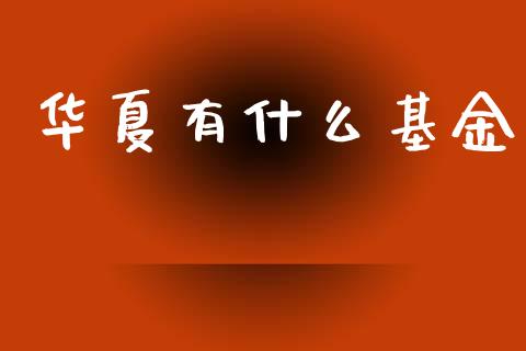 华夏有什么基金_https://wap.lxcailiao.com_金融监管_第1张
