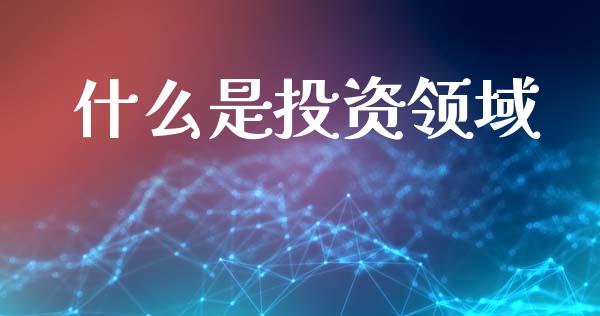 什么是投资领域_https://wap.lxcailiao.com_财务管理_第1张