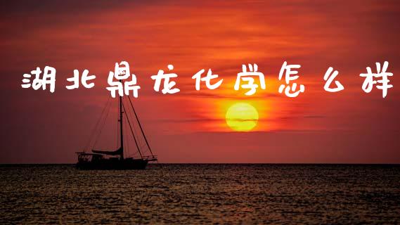 湖北鼎龙化学怎么样_https://wap.lxcailiao.com_财务管理_第1张