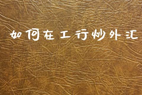 如何在工行炒外汇_https://wap.lxcailiao.com_股权投资_第1张