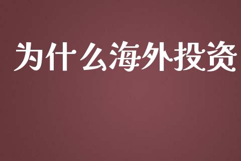 为什么海外投资_https://wap.lxcailiao.com_融资担保_第1张