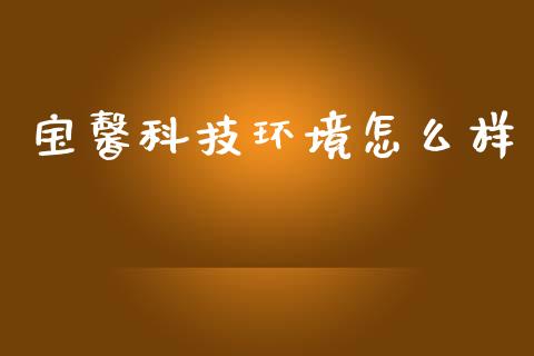 宝馨科技环境怎么样_https://wap.lxcailiao.com_股权投资_第1张