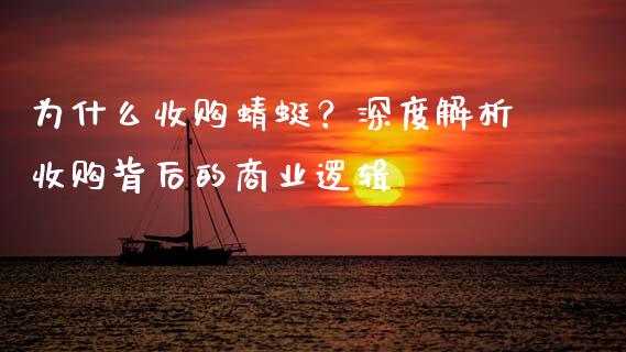 为什么收购蜻蜓？深度解析收购背后的商业逻辑_https://wap.lxcailiao.com_融资担保_第1张