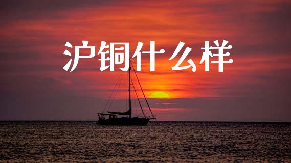 沪铜什么样_财务管理_第1张_金融监管_融资担保_财务管理_股权投资 沪铜什么样_https://wap.lxcailiao.com_财务管理_第1张