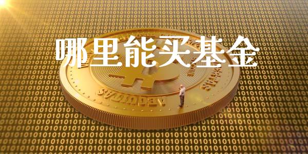 哪里能买基金_https://wap.lxcailiao.com_金融监管_第1张