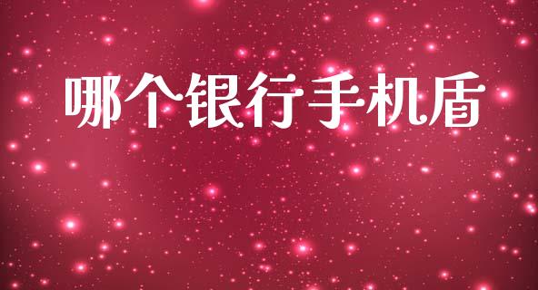 哪个银行手机盾_https://wap.lxcailiao.com_财务管理_第1张