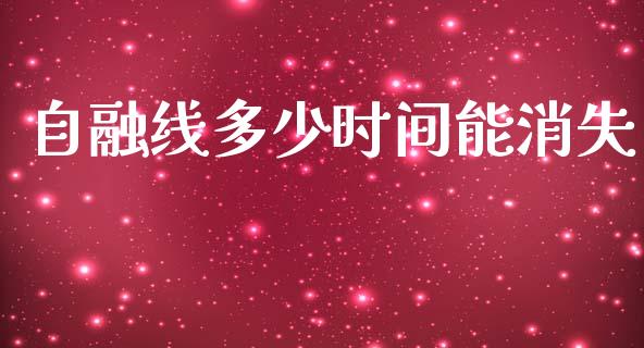 自融线多少时间能消失_https://wap.lxcailiao.com_融资担保_第1张