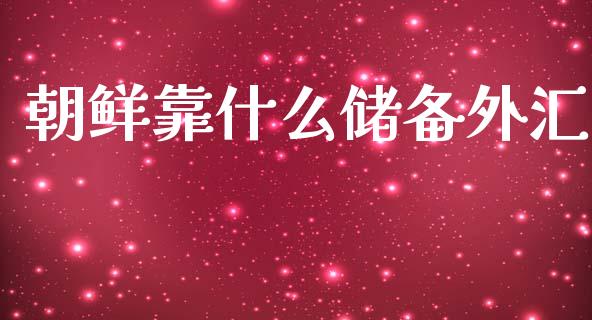 朝鲜靠什么储备外汇_https://wap.lxcailiao.com_融资担保_第1张