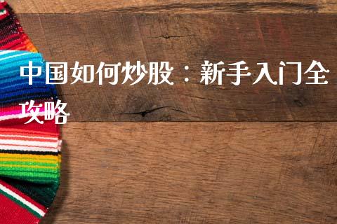 中国如何炒股:新手入门全攻略_融资担保_第1张_金融监管_融资担保_财务管理_股权投资 中国如何炒股:新手入门全攻略_https://wap.lxcailiao.com_融资担保_第1张