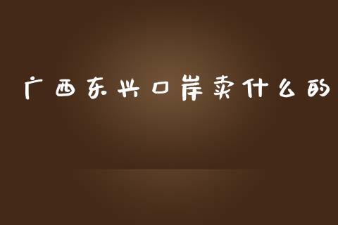 广西东兴口岸卖什么的_https://wap.lxcailiao.com_金融监管_第1张