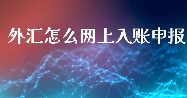 外汇怎么网上入账申报_https://wap.lxcailiao.com_股权投资_第1张