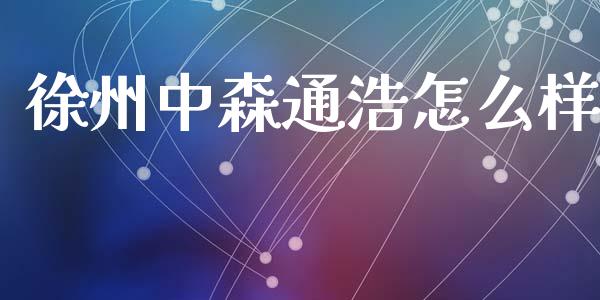 徐州中森通浩怎么样_https://wap.lxcailiao.com_金融监管_第1张