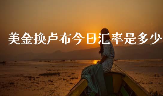 美金换卢布今日汇率是多少_https://wap.lxcailiao.com_股权投资_第1张