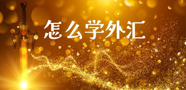 怎么学外汇_https://wap.lxcailiao.com_财务管理_第1张